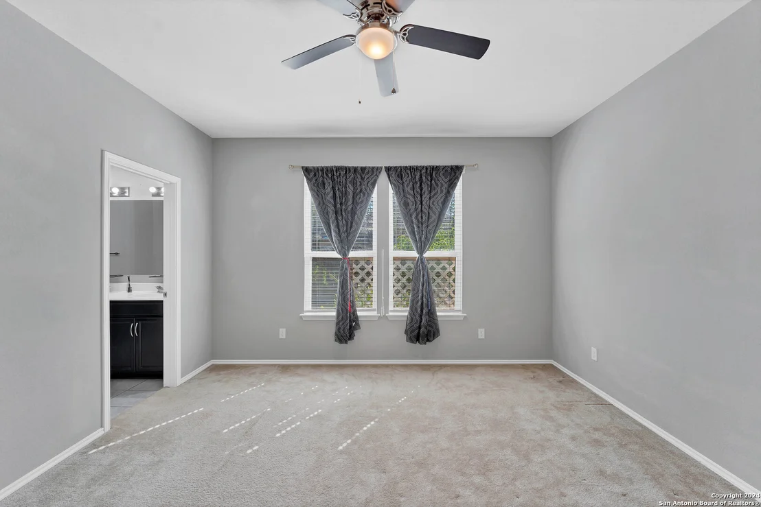 Photo of 1442 POLYDORA