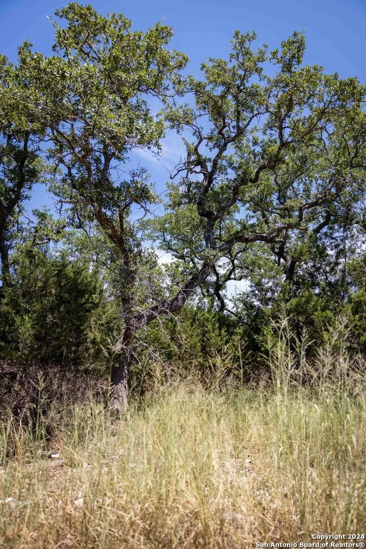 Photo of 7726 RAMBLE RIDGE