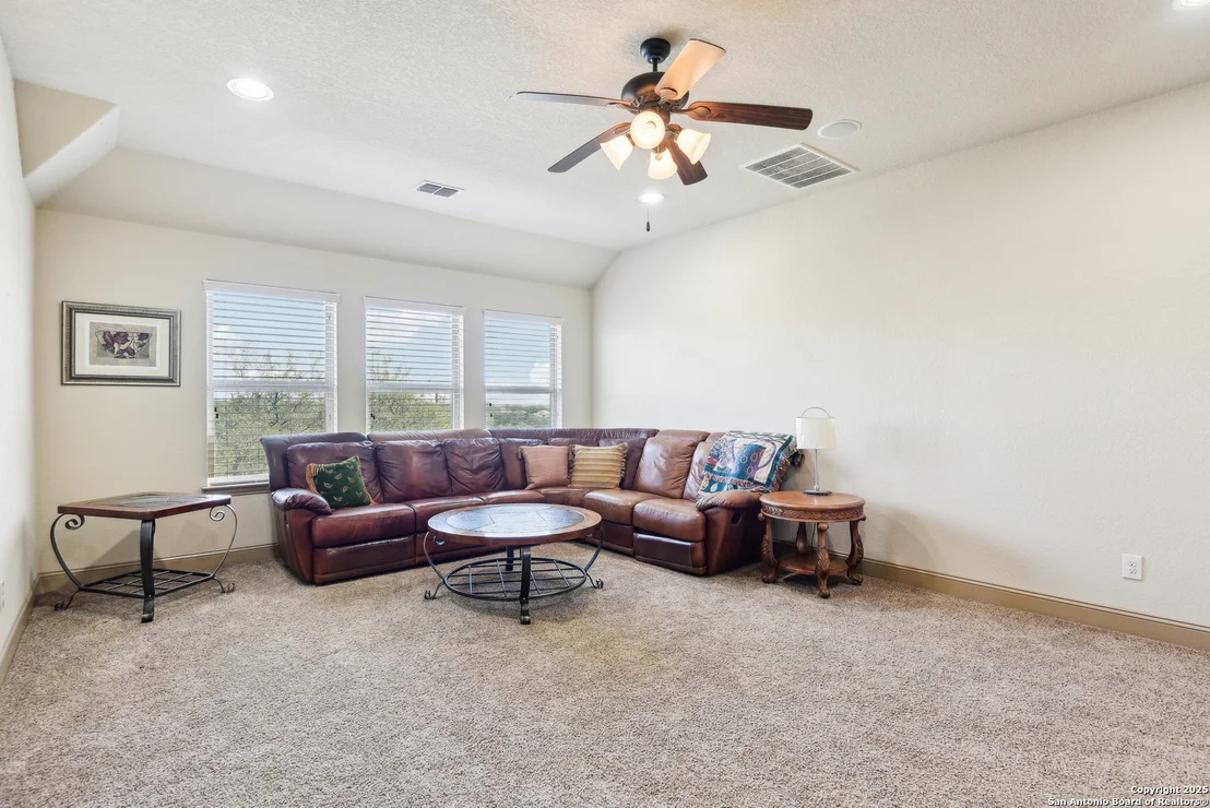 Photo of 25612 Santolina