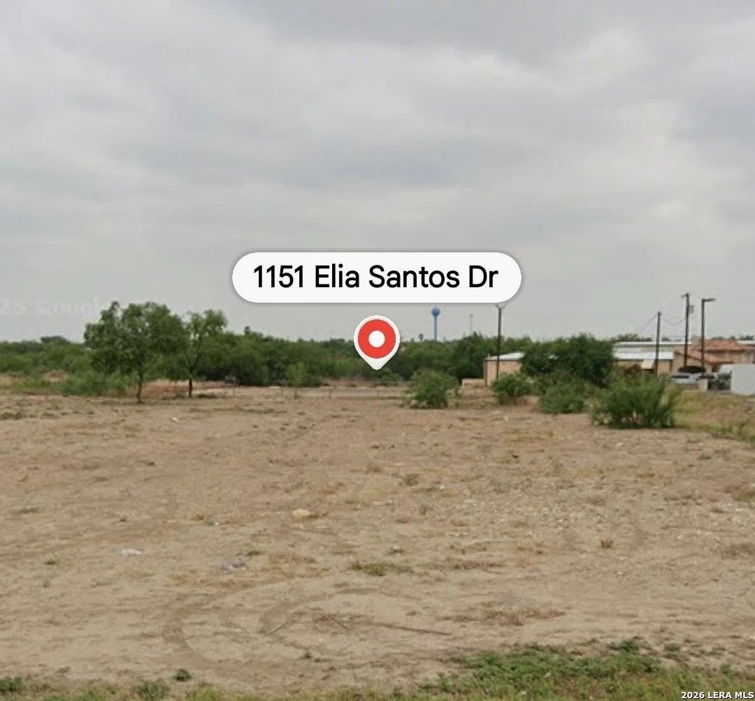 Photo of 1151 ELIA SANTOS