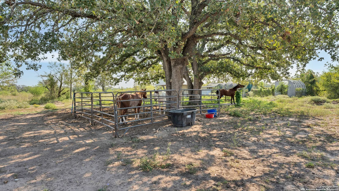 Photo of 475 JACKSON RD