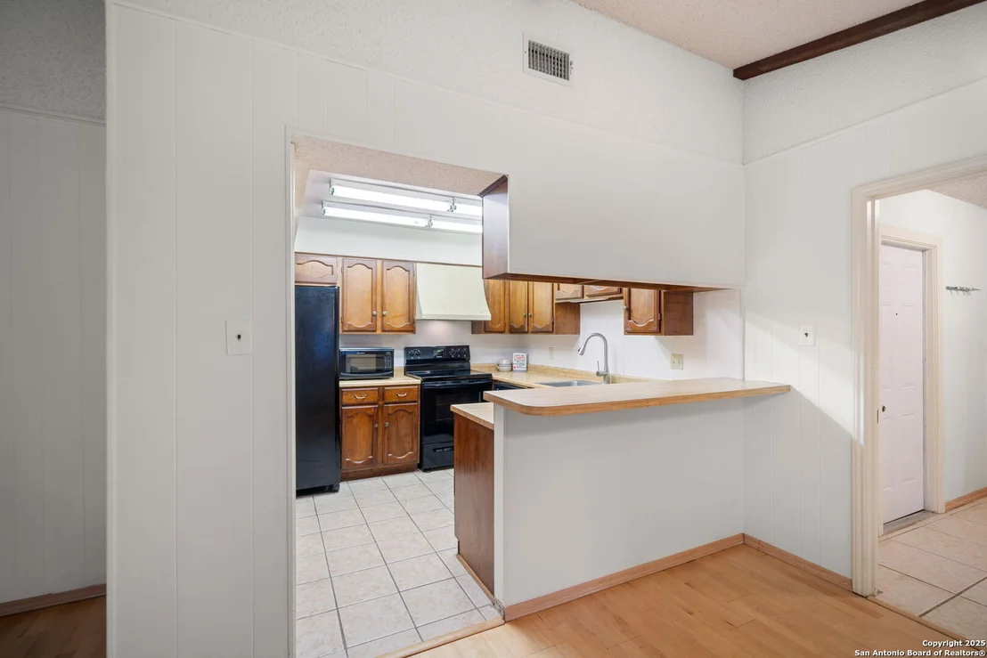 Photo of 1606 forest spring