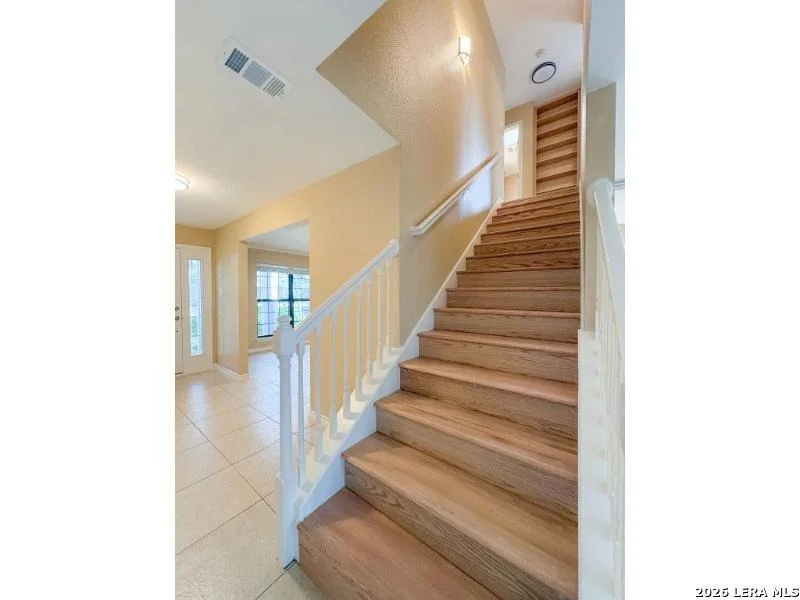 Photo of 16503 Fancy Saddle