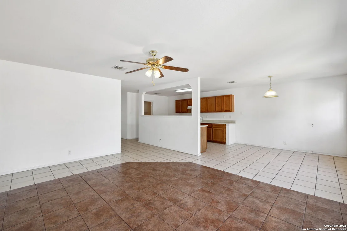 Photo of 284 Texas Mulberry