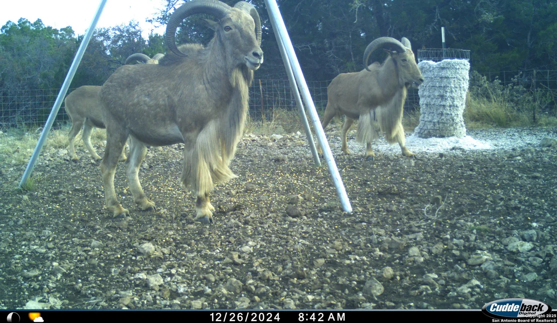 Photo of TBD Mailtrail Rd