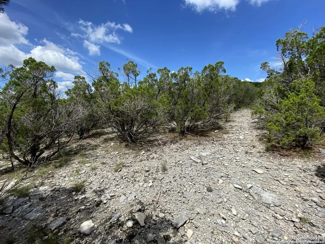 Photo of 391 PR 1748 Lot 391
