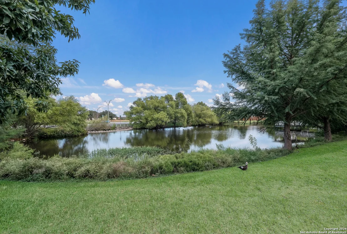Photo of 8902 Catkin Meadow