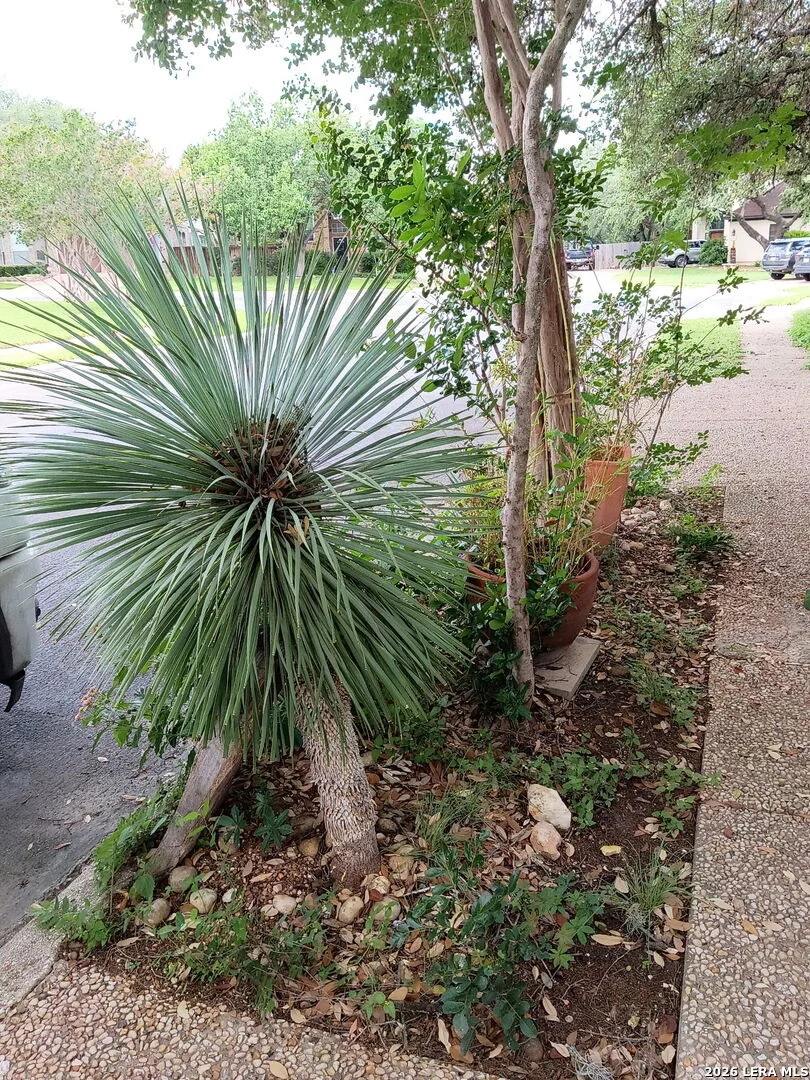 Photo of 2039 Thicket Trail Dr