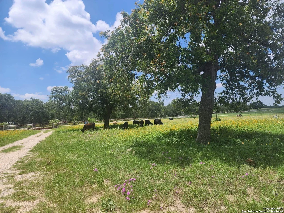 Photo of 1208 COUNTY ROAD 317