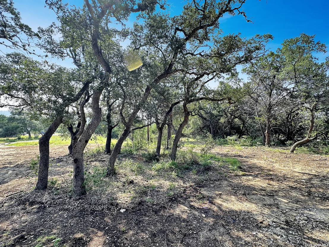 Photo of 197 SPRING MOUNTAIN DR