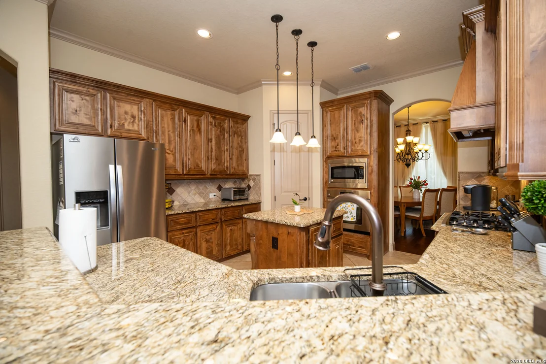 Photo of 25603 Santolina