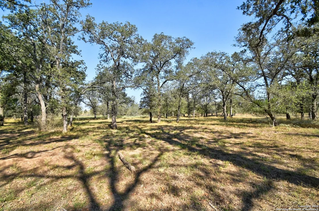 Photo of 436 Old Colony