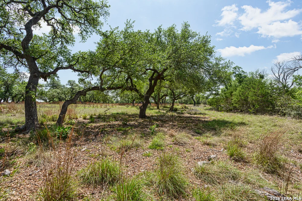 Photo of 127 EL NOPAL
