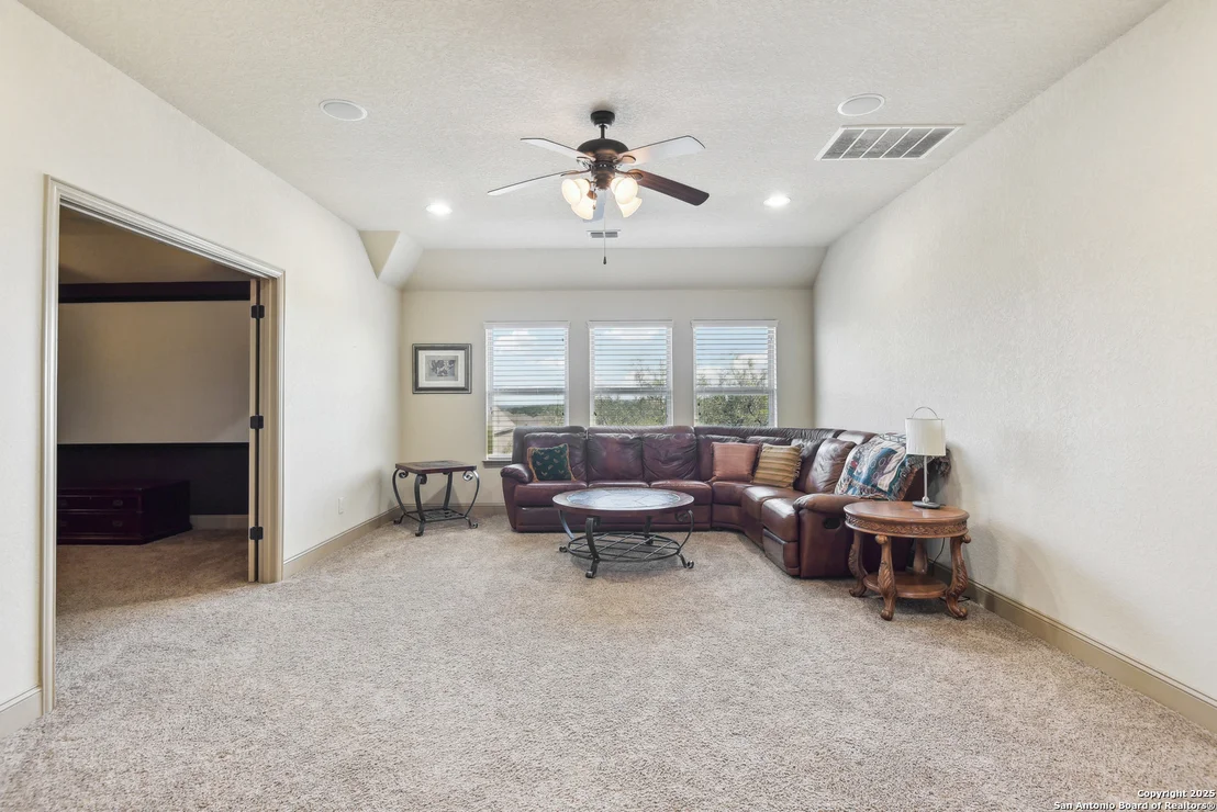 Photo of 25612 Santolina
