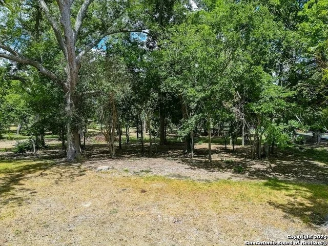 Photo of 217 GUADALUPE RIVER DR