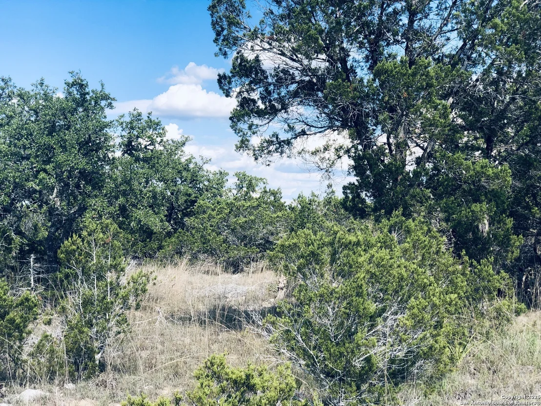 Photo of 1020 Cliff Circle