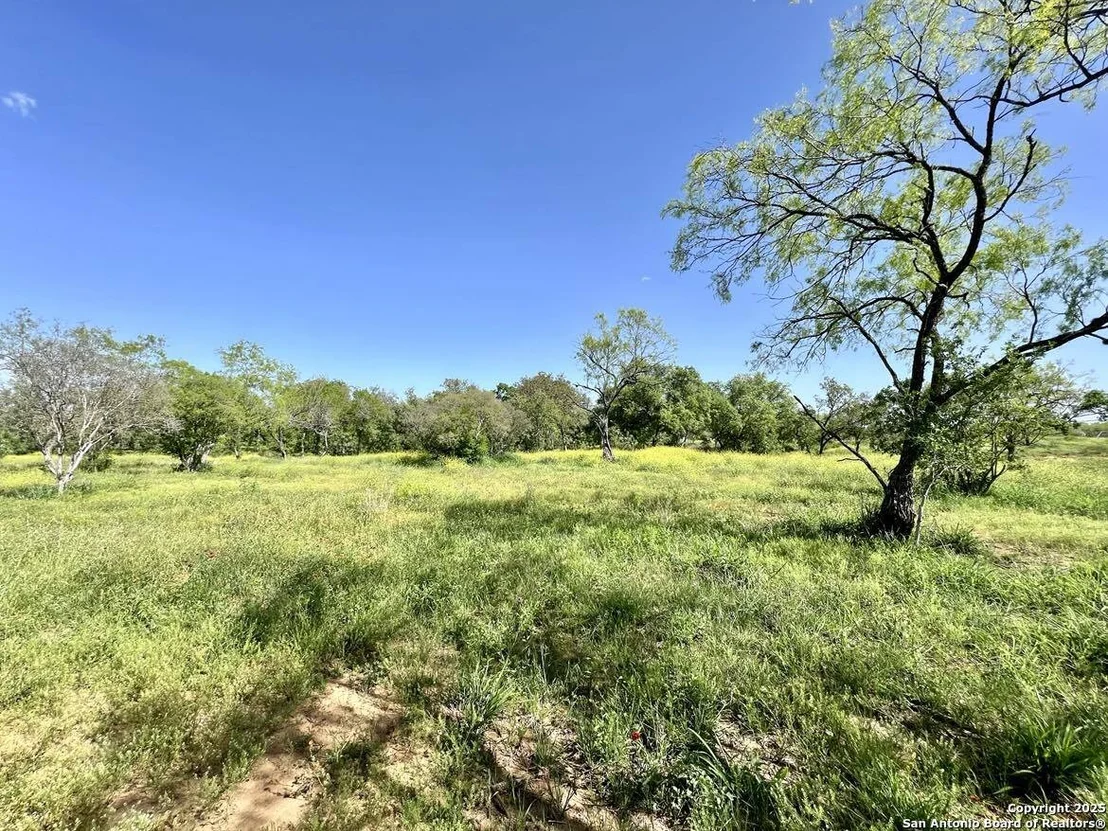 Photo of 188 Medium Meadow