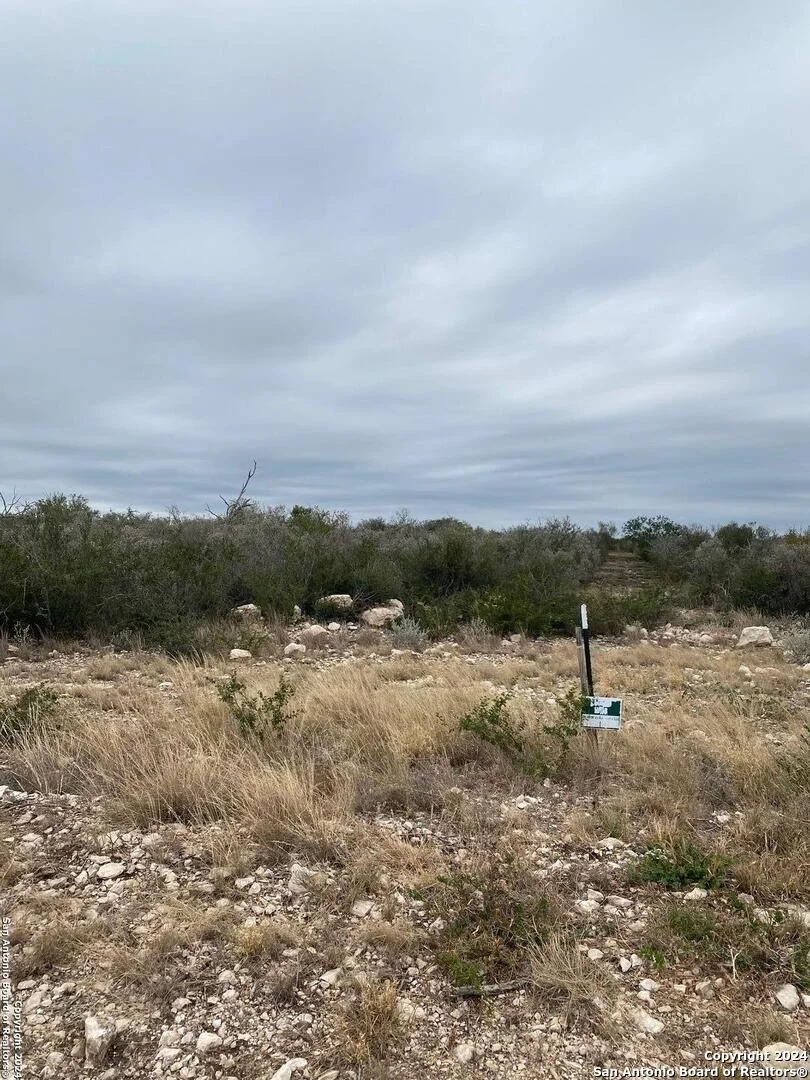 Photo of 92 PALOMINO HILLS CIR