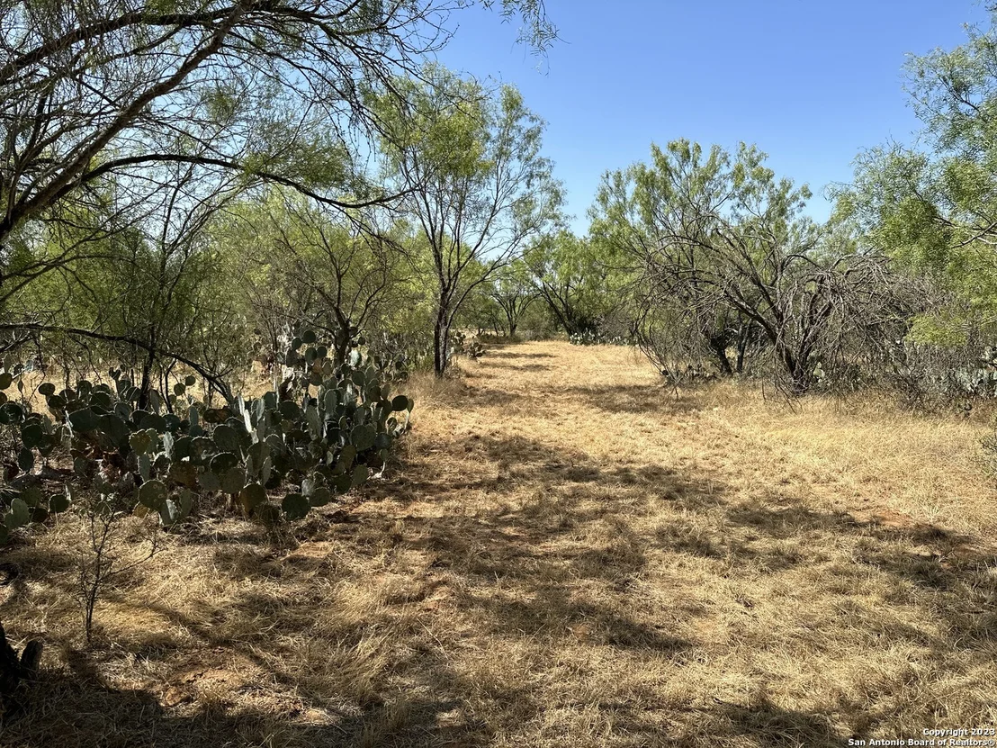 Photo of 157 CR 2644