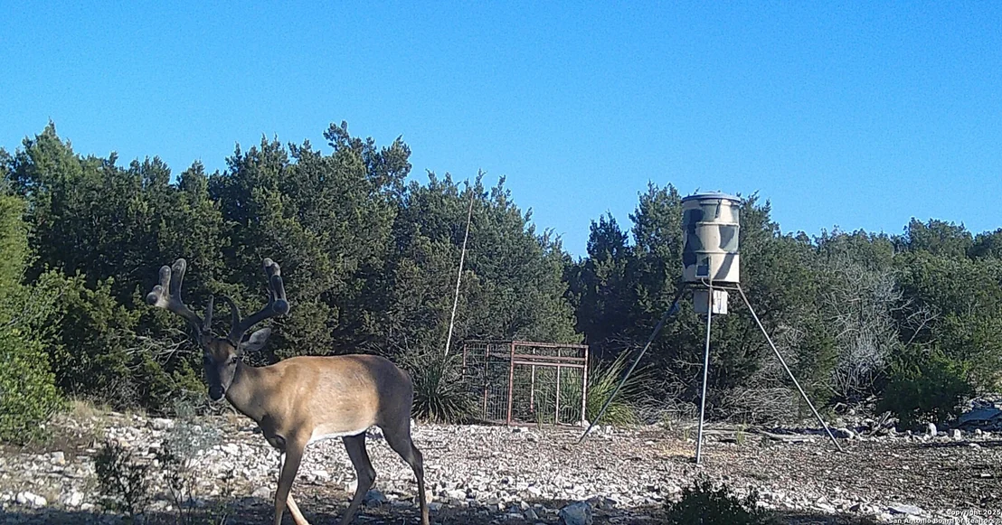 Photo of 1024 Sd 63005
