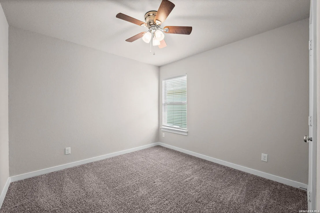 Photo of 3232 Field Thistle
