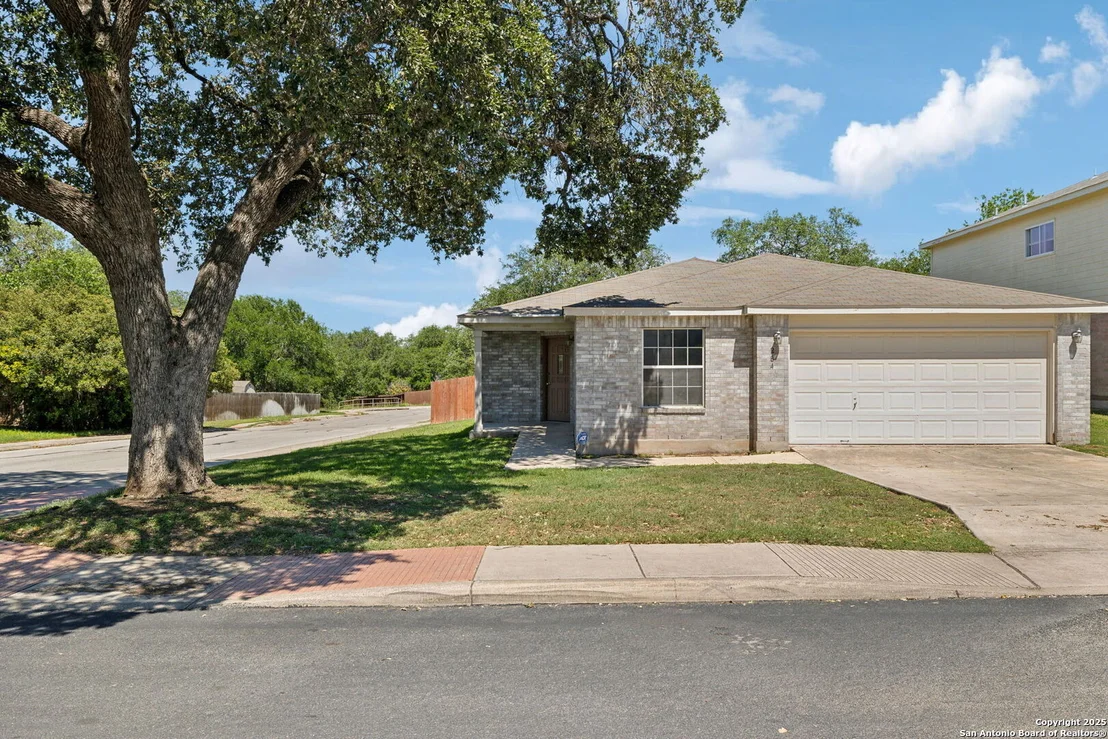 Photo of 284 Texas Mulberry