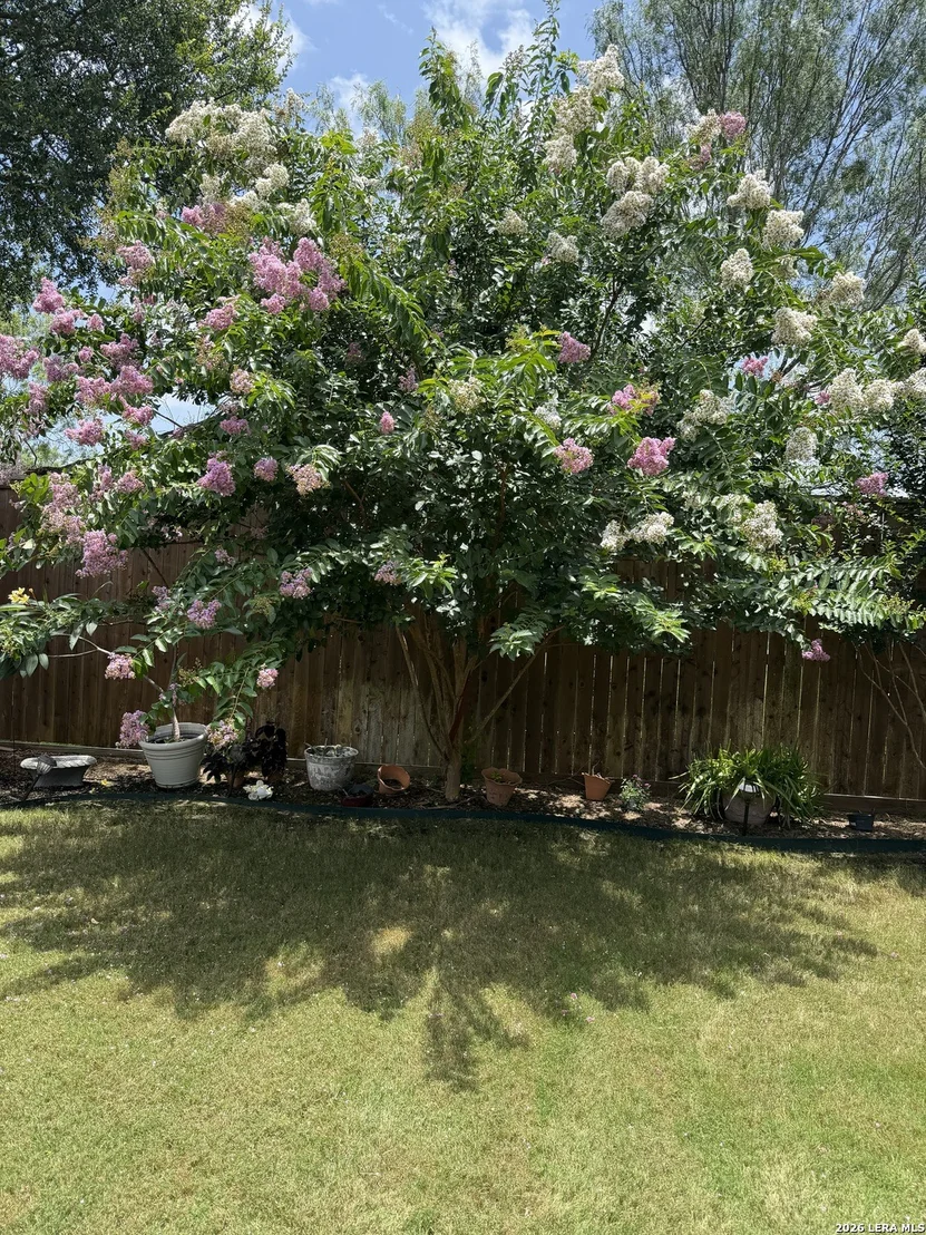 Photo of 980 Water Oak