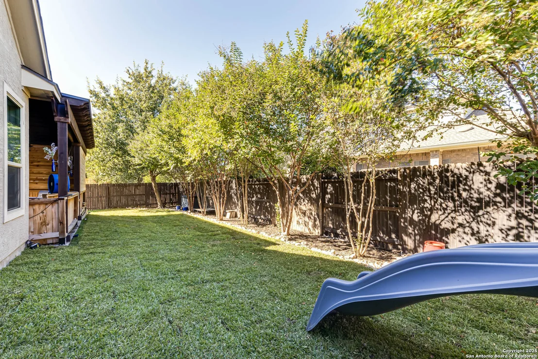 Photo of 3811 Ricegrass