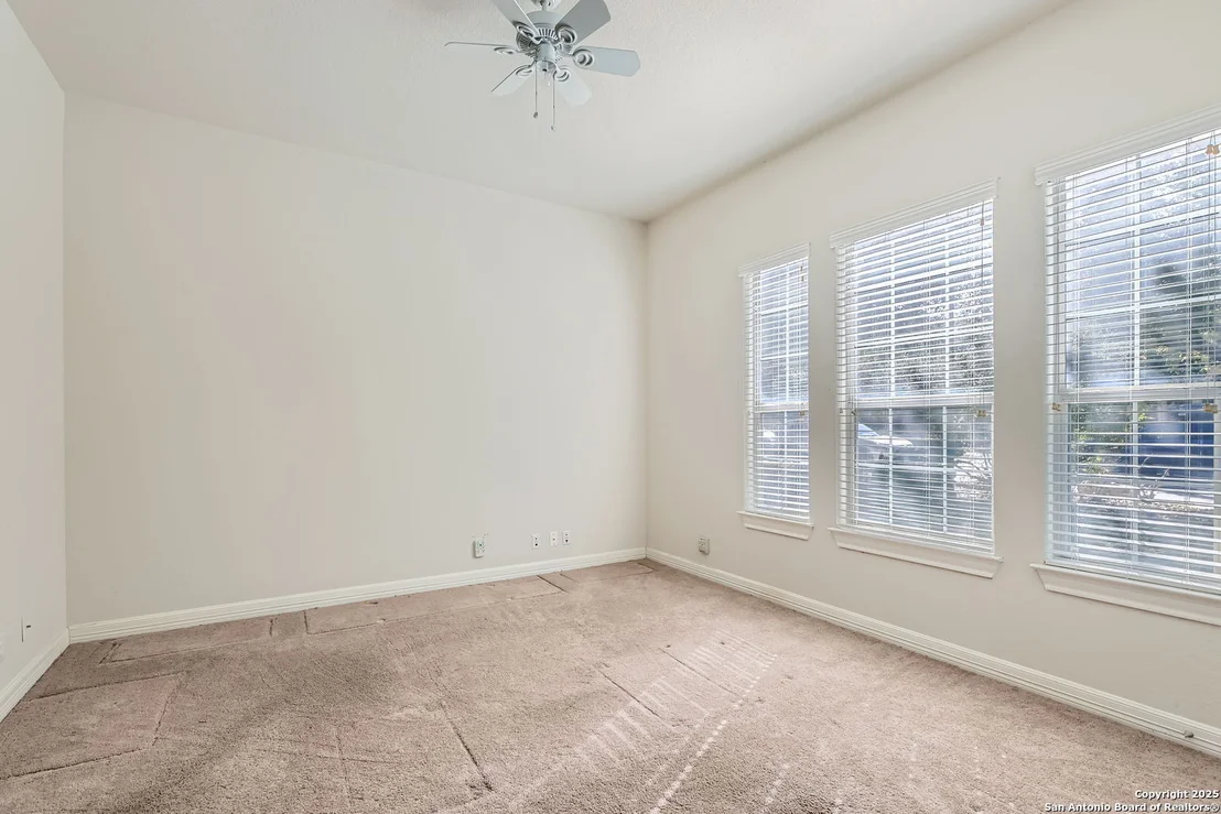 Photo of 12742 Texas Thistle