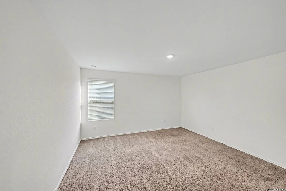 Photo of 14068 Wool