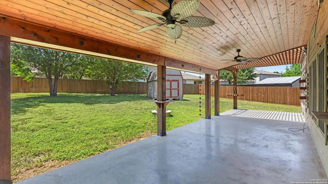 Photo of 154 sassafras