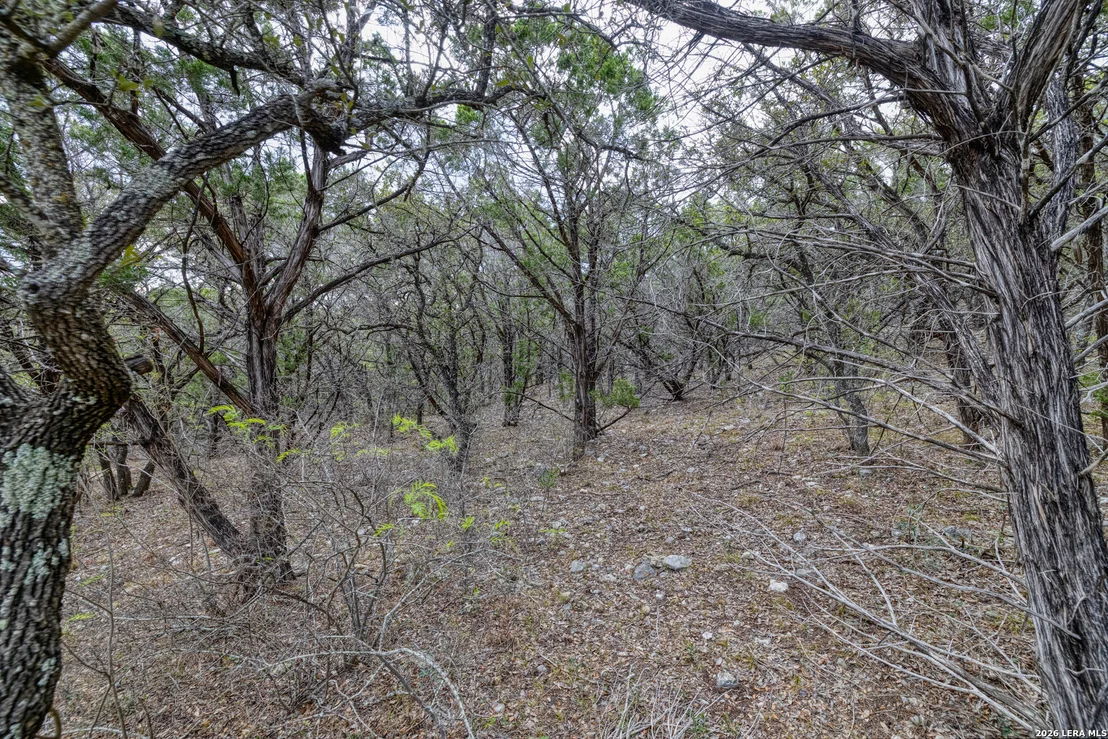 Photo of 430 Frio Canyon
