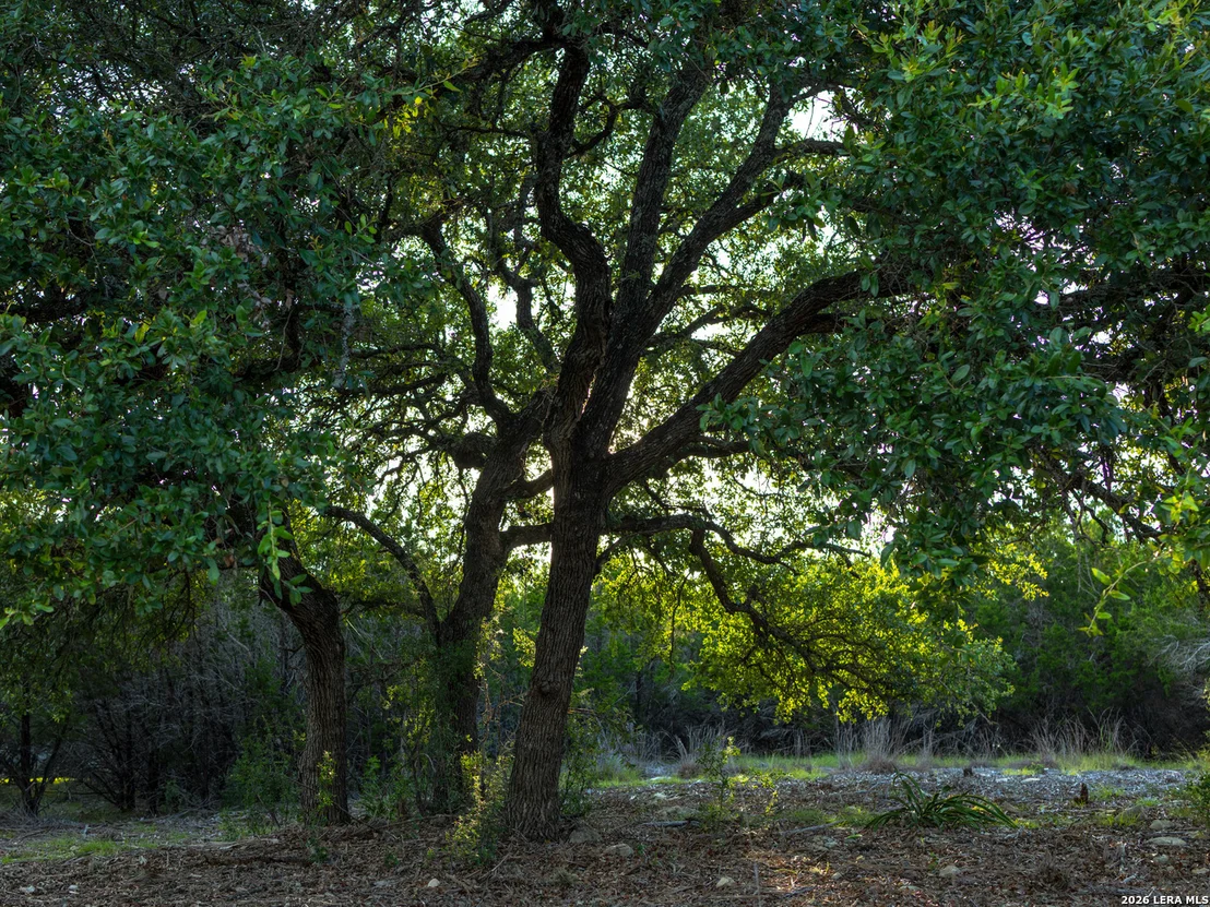 Photo of LOT 12 Monterey Trail