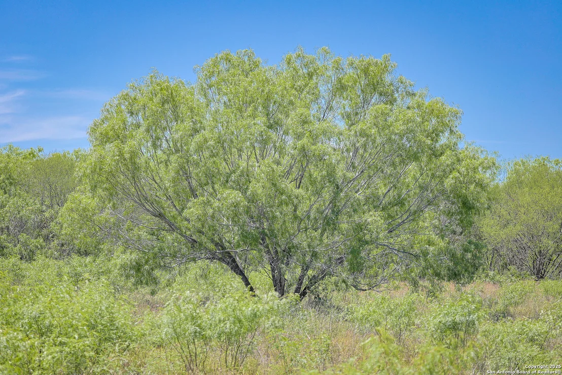 Photo of 6266 Highway 281