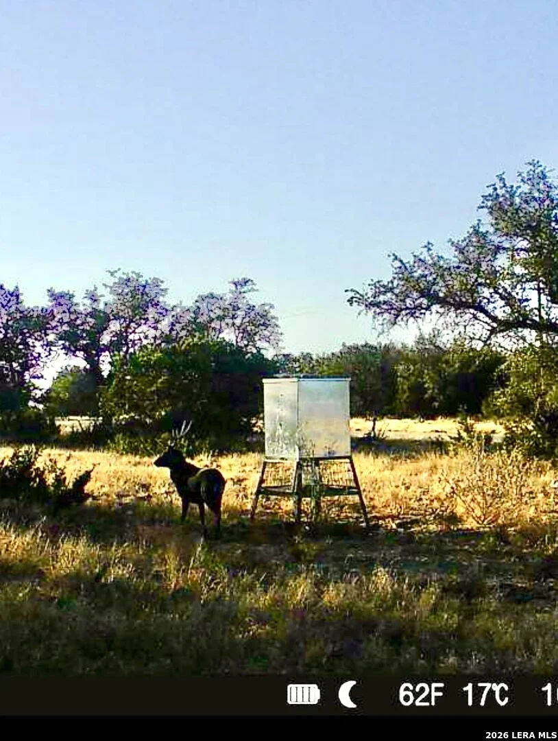 Photo of 07 E Bison Way