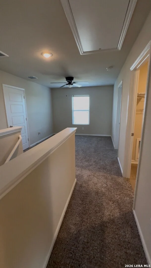 Photo of 810 Retama