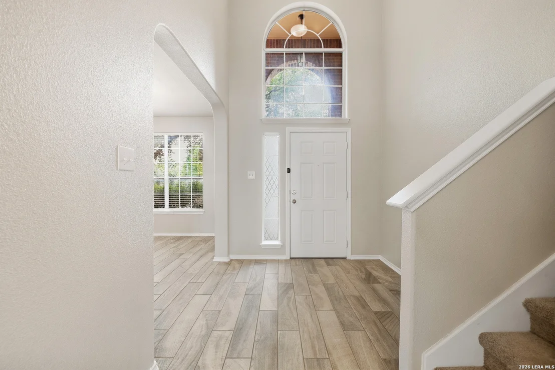 Photo of 25602 Sophora