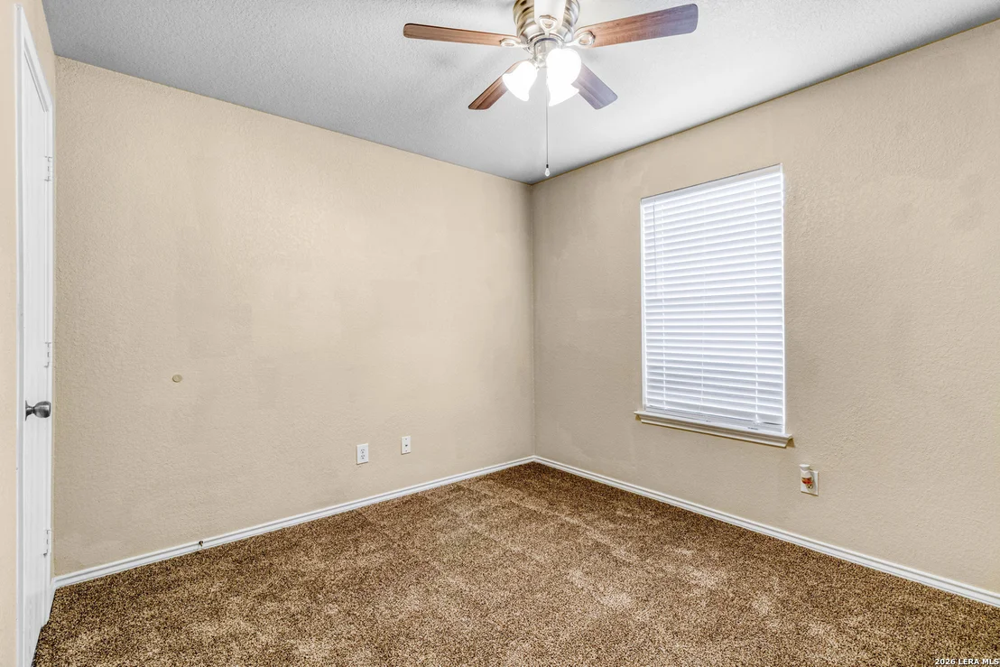 Photo of 131 BOOKER PALM