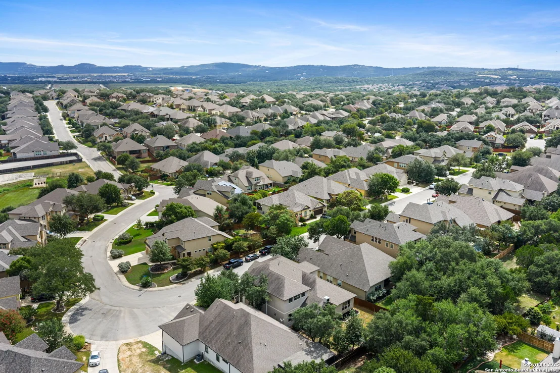 Photo of 29051 Hobblebush
