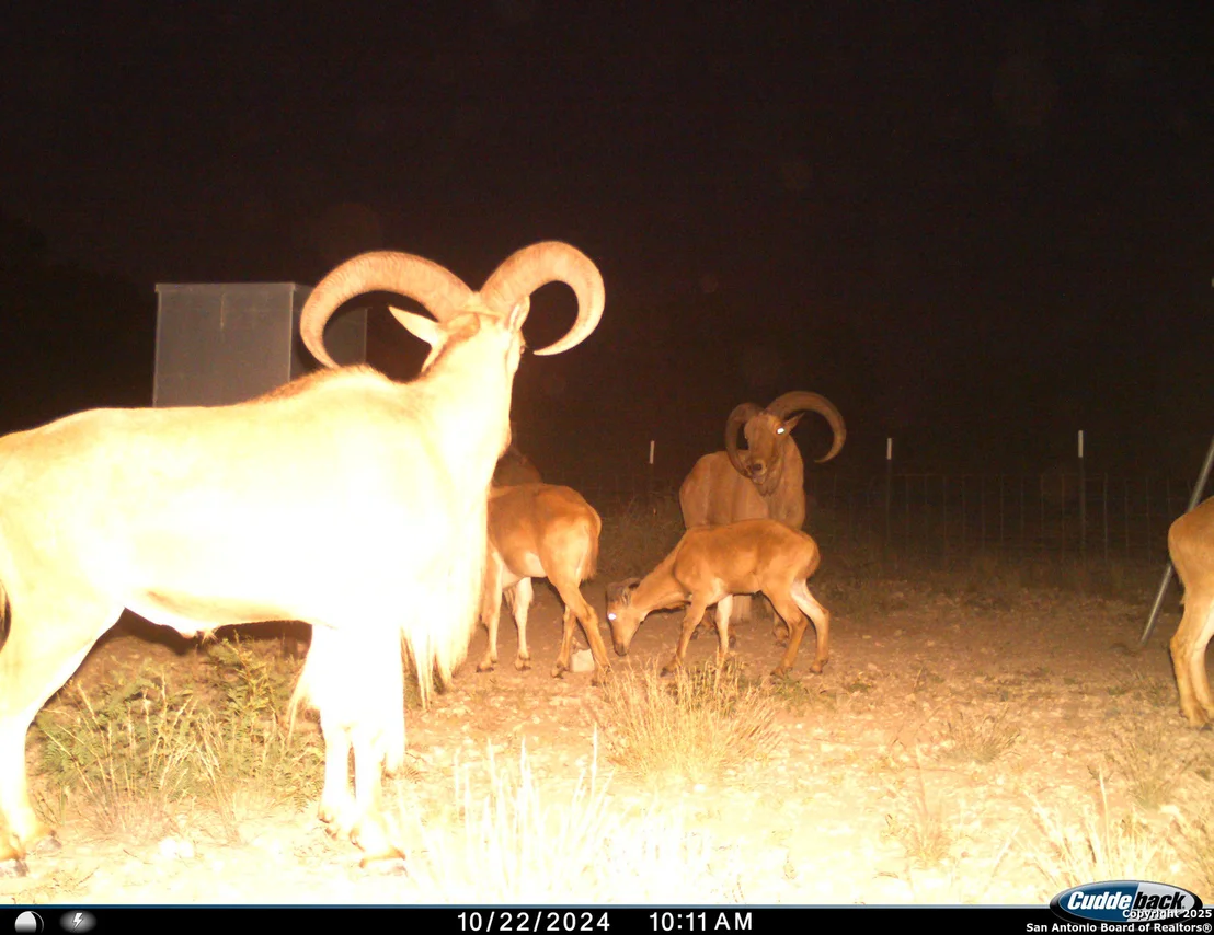 Photo of TBD Mailtrail Rd