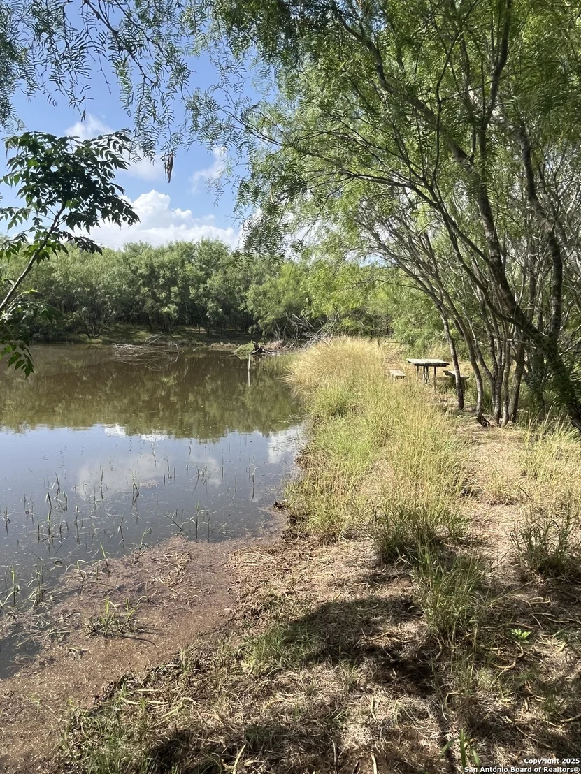 Photo of 707 deer trail