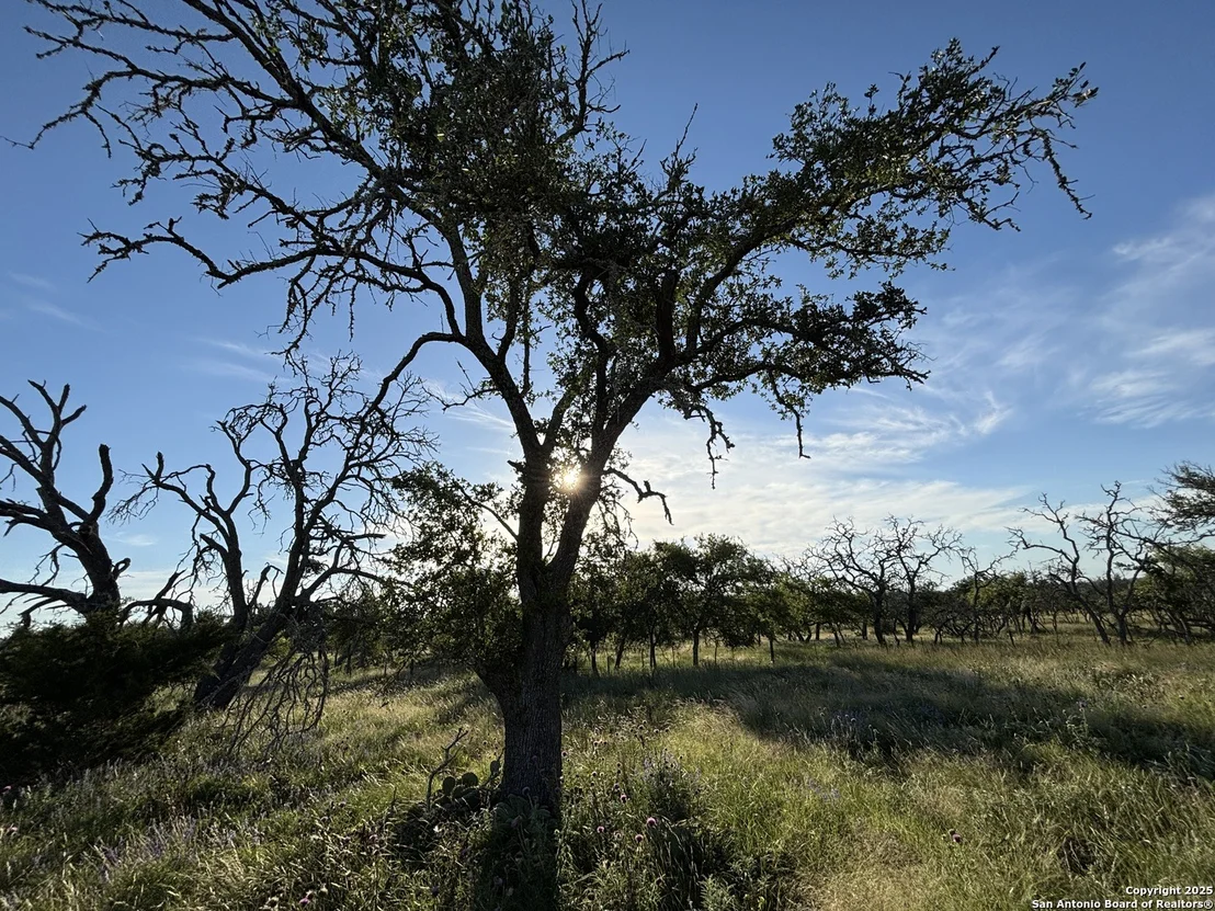 Photo of 183 Lipan Loop