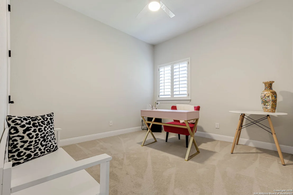 Photo of 3811 Ricegrass