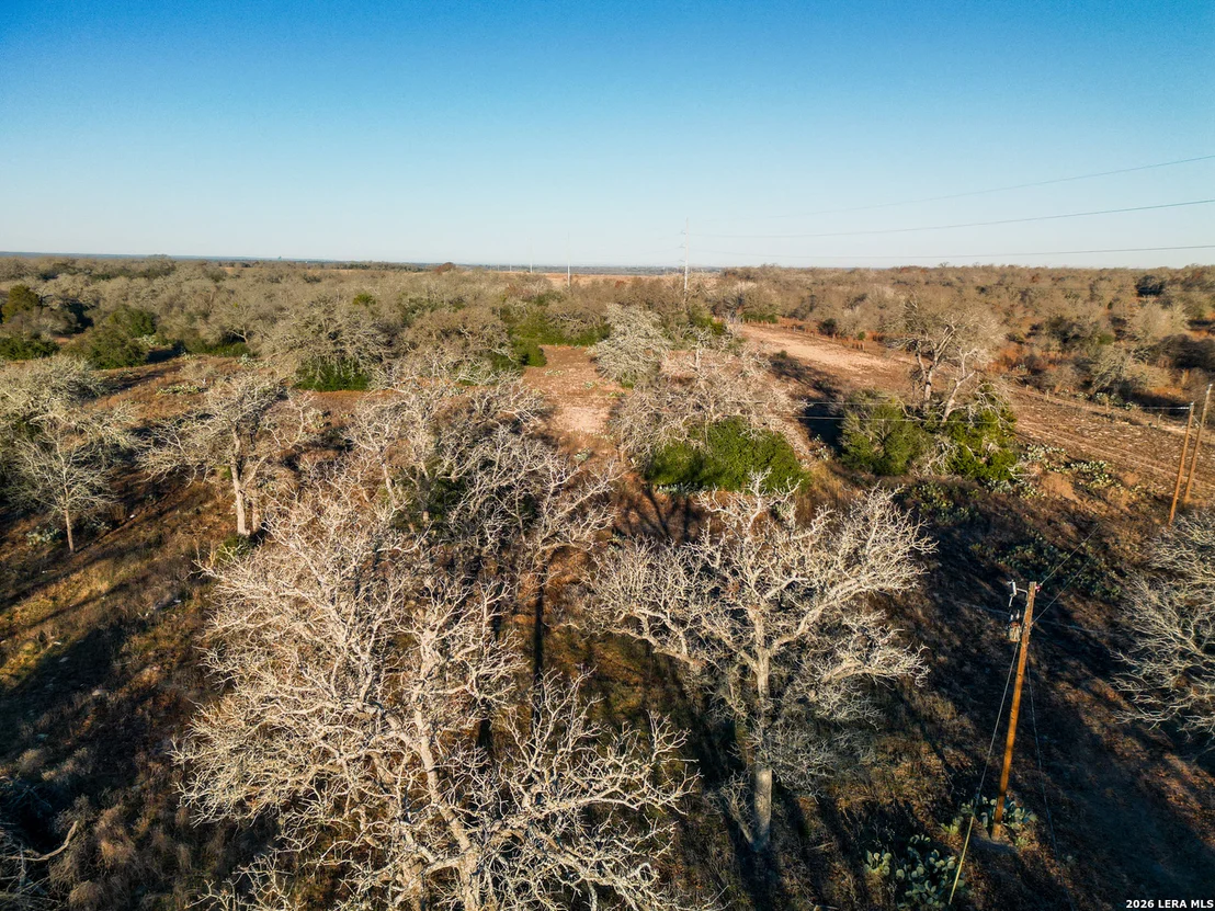 Photo of TBD Sandy Pine