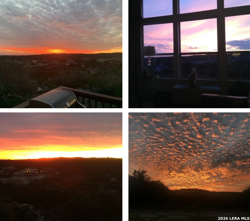 Photo of 13039 Walking Horse