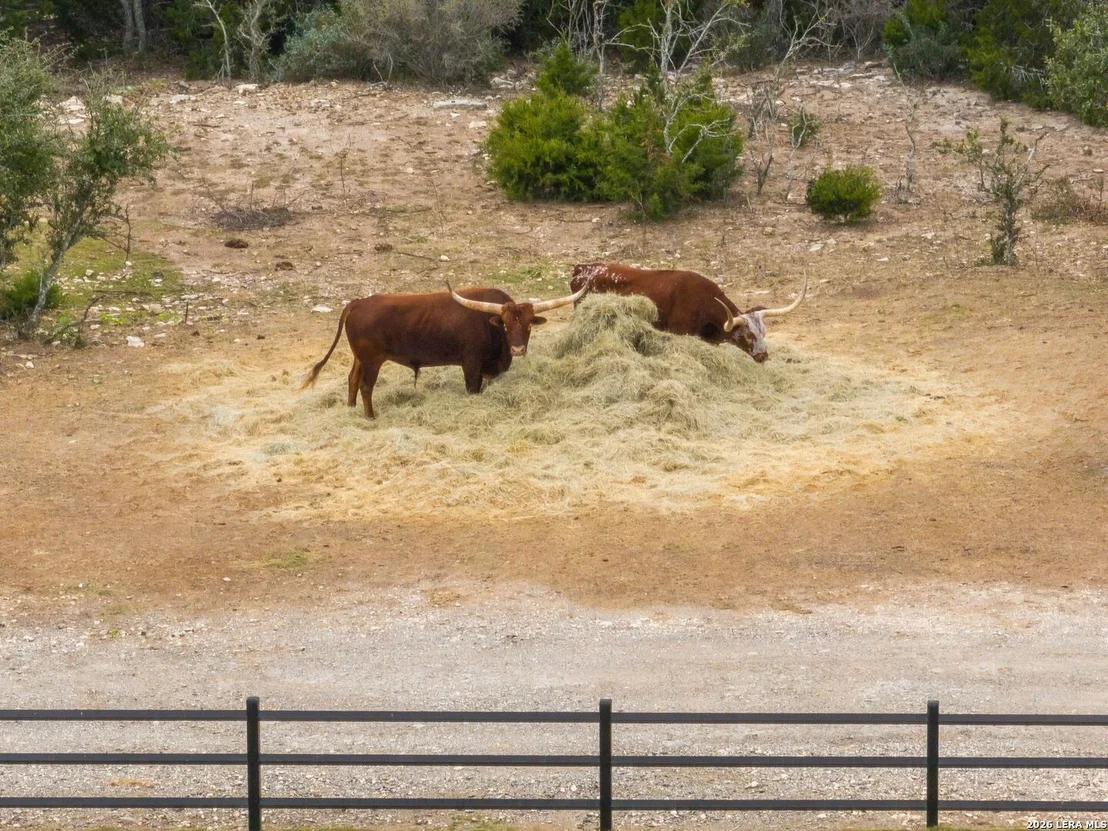 Photo of 298 Table Rock