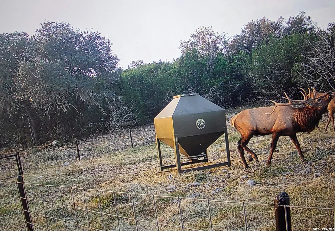 Photo of 15019 County Road 310