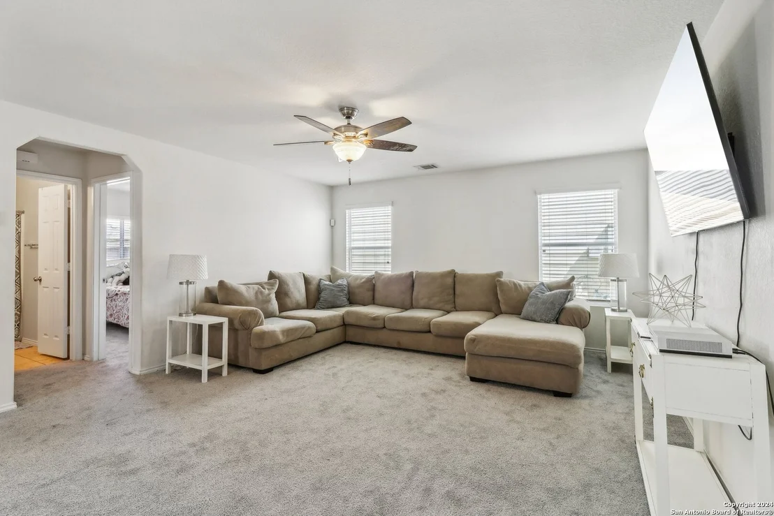 Photo of 155 PRATO PALMA