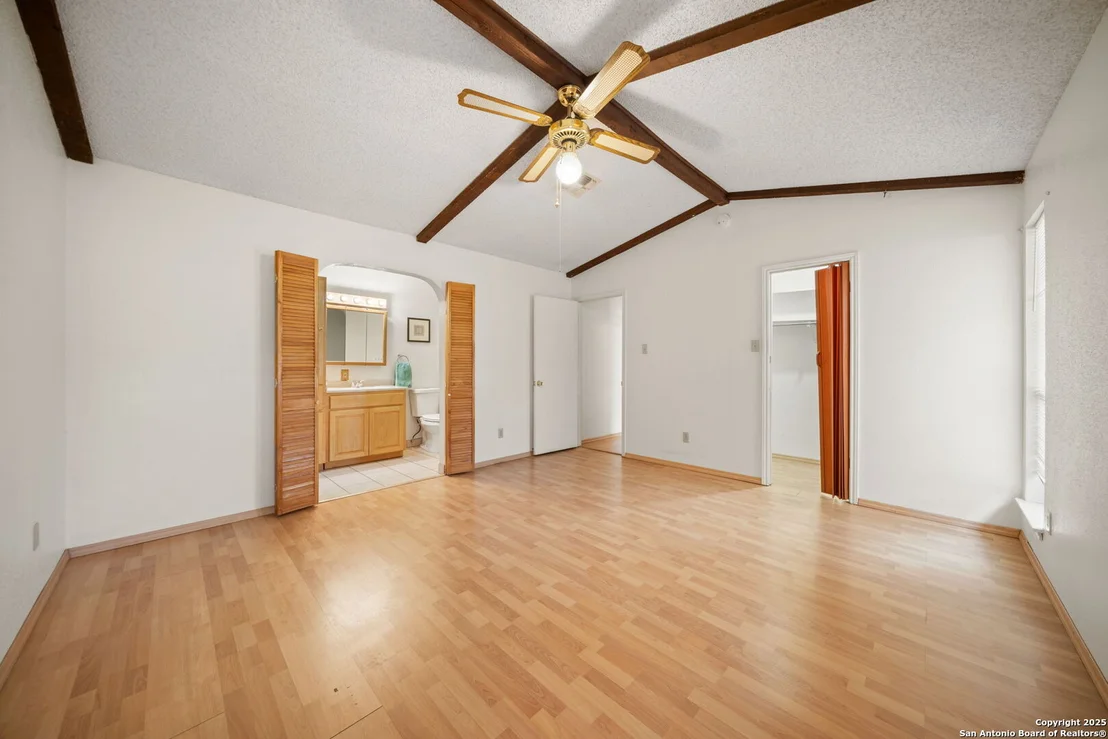Photo of 1606 forest spring