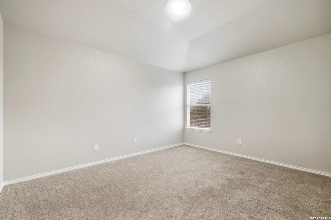 Photo of 25602 Sophora
